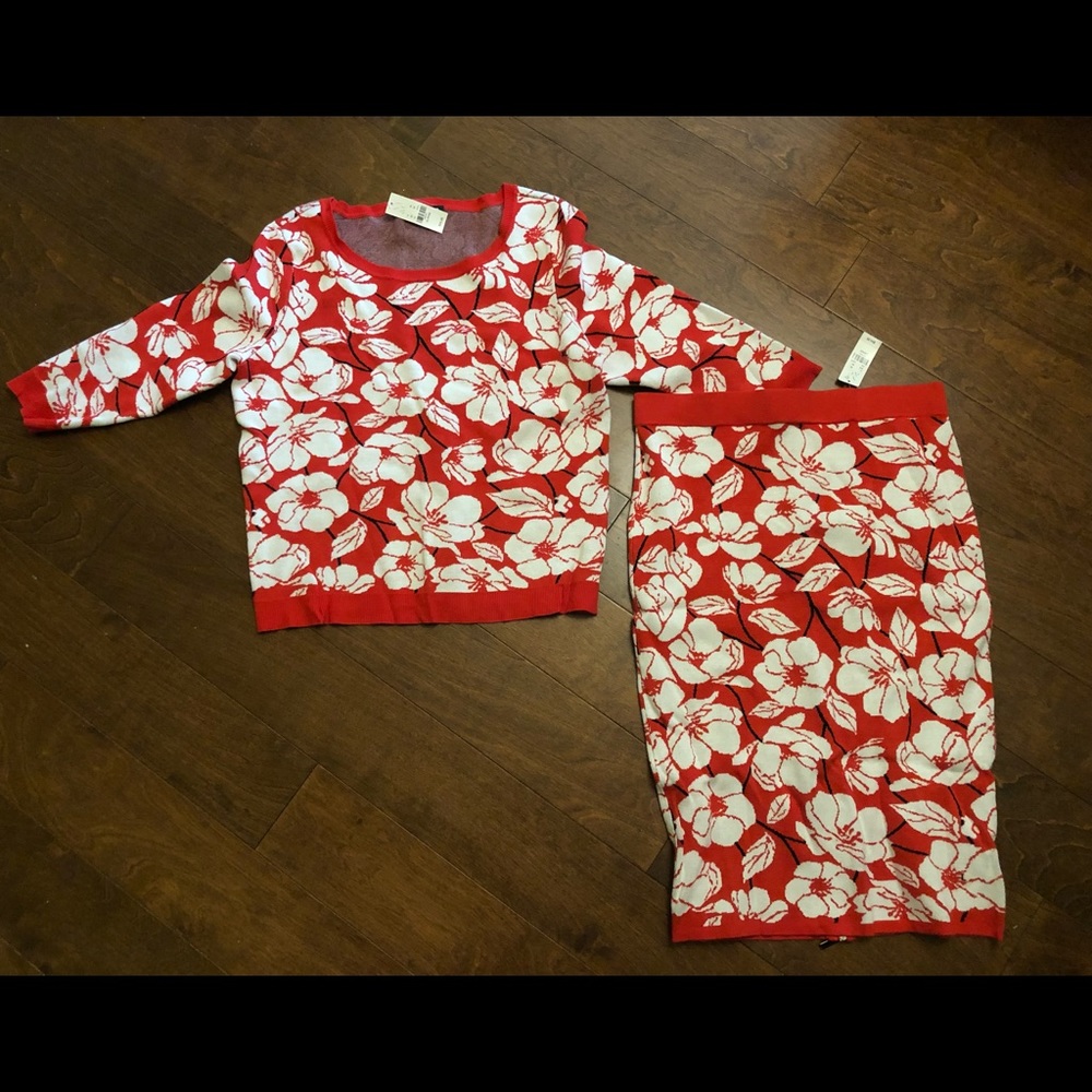 New York and Company skirt set